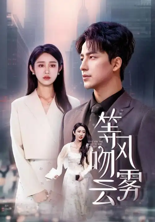 2026新番动漫-雾都拾光者
